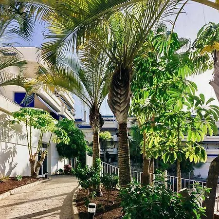 Apartment Large Direct Ocean Front 2bd Los Cristianos (Tenerife)