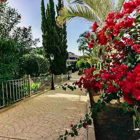 Large Direct Ocean Front 2bd Лос Кристианос