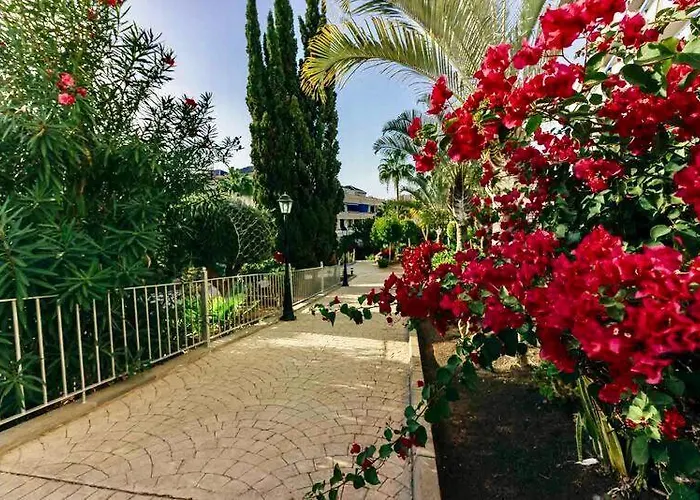 Large Direct Ocean Front 2bd Los Cristianos (Tenerife)